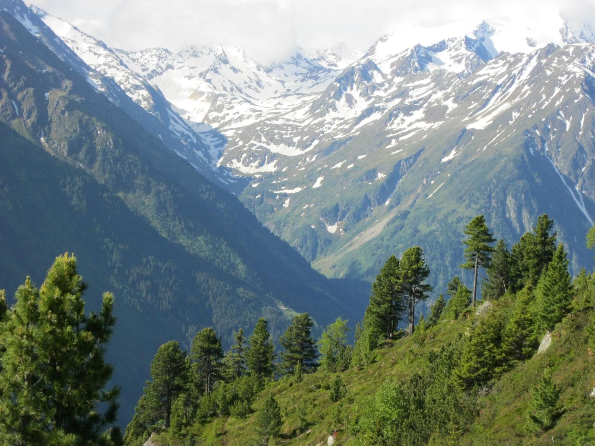Ferienhaus Stubai Neustift im Stubaital Luaran gambar